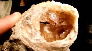 preview picture of video 'Huge Golden Crystals Inside Clam Fossil Museum Quality (Rare Discovery)'