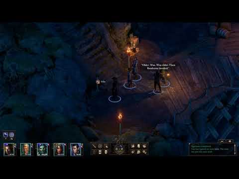 Pillars of Eternity II Deadfire - Pet Neketaka Cat Ickis