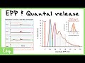 Endplate Potentials (EPPs) And Quantal Release Explained (Bernard Katz Experiments) | Clip