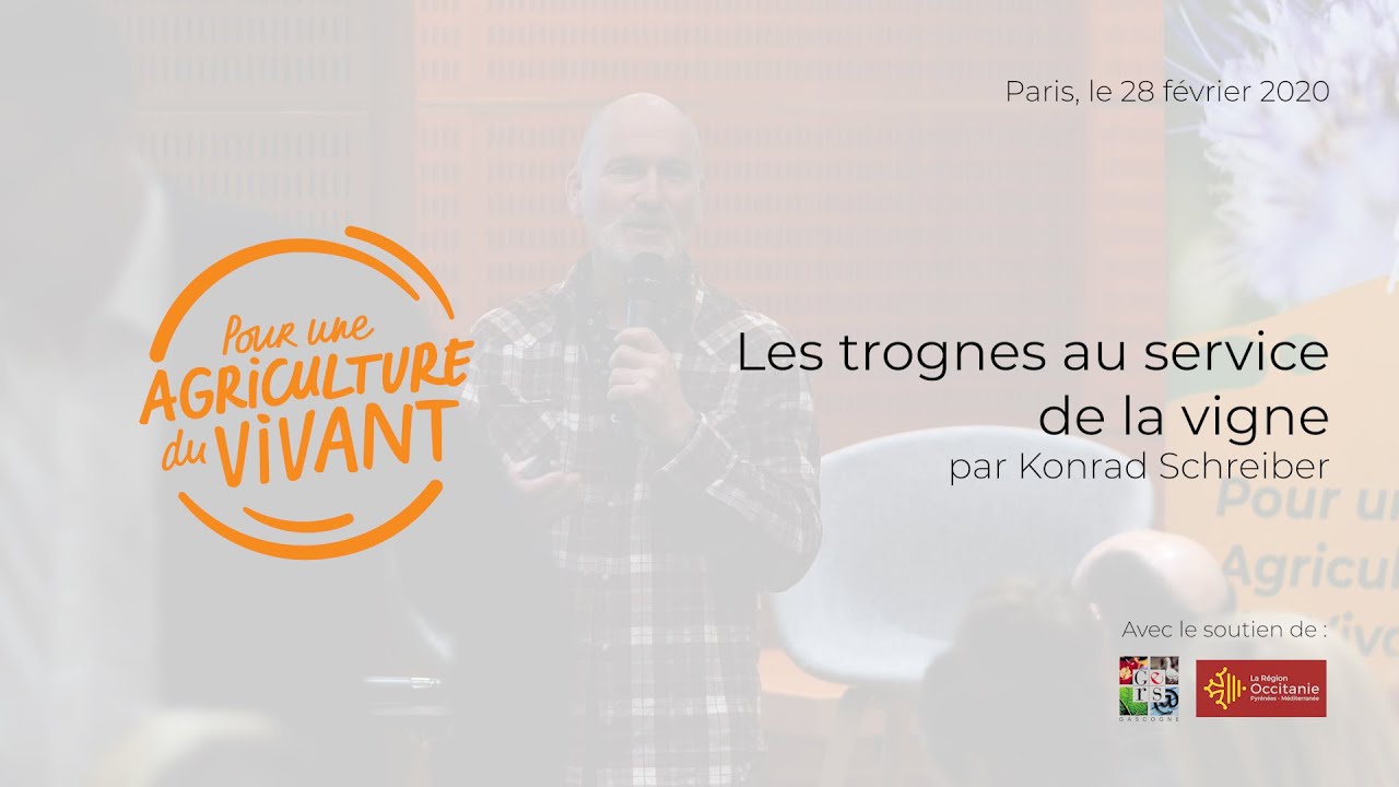 Les trognes au service de la vigne, par Konrad Schreiber