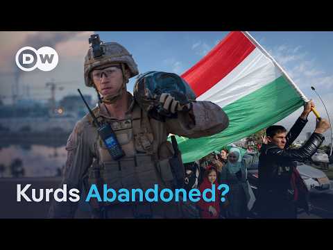 What will the US troop withdrawal from Iraq mean for Kurds? | DW News