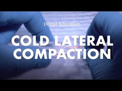 Endodontics: Cold Lateral Compaction Demonstration