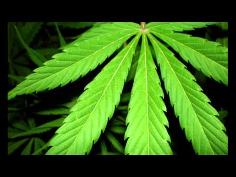 Bagga Worries and Jooxie - Legalize (Quiet﻿ Storm Remix) Thx MeOwface!