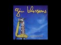 Gin Blossoms - Fool For The Taking HQ (Audio)