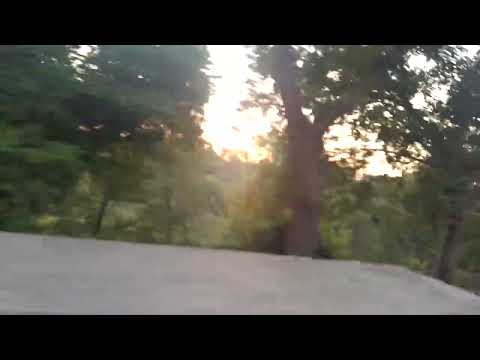 Zahida Abbasi.  Beauty Of. Nature   Cats.  Animal