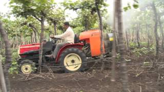 How to Save Your Crops from Insects Using Pesticide Blower (200 ltrs)