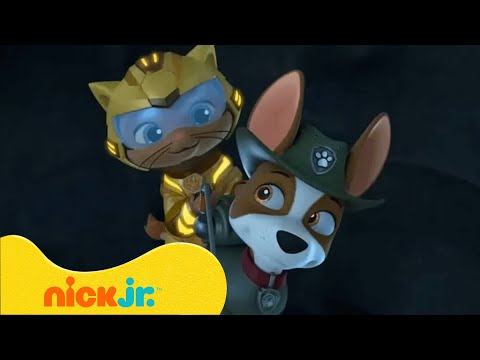 Capa de Patrulha Canina | Resgates  Selva da Patrulha Canina com Tracker! 🐵 | 15 Minutos | Nick Jr.