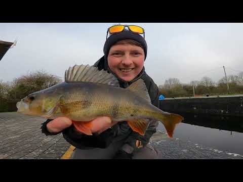 An easy way to catch Perch - fishing tips and tricks