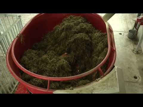 Watch It Work | Feed Your Herd With Your Cell Phone | Lely Vector Feeding Robot