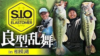 【バス釣り】アフタースポーン攻略。相模湖で良型乱舞!.天野雄太/藤田夏輝