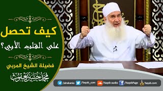 صورة كيف تحصل على القلب الأبي؟