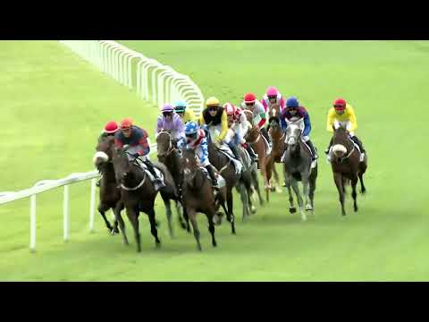 2022.08.31. 08. futam - MAGYAR KANCADÍJ (HUN Gd-2)