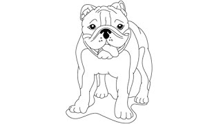How to draw a bulldog - Easy step-by-step drawing lessons for kids