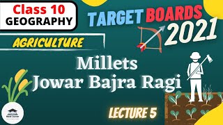 L5 | Chapter 4 Agriculture | Millets, Jowar, Bajra and Ragi | Class 10 Geography | Social Science