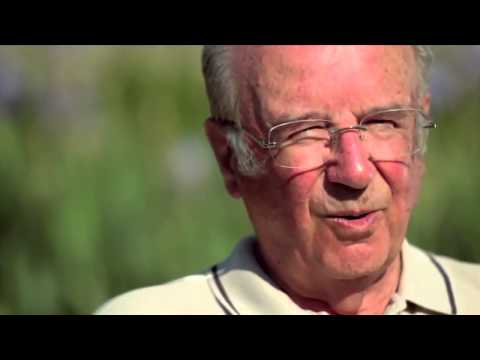 Situational Aufgaben hypertensiven Krise Sekundäre Zeichen der intrakraniellen Hypertension