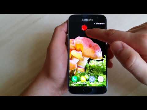 Beautiful Autumn Live Wallpape Video