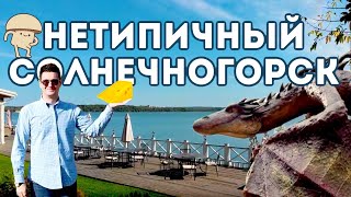 Отдых на озере сенеж с детьми