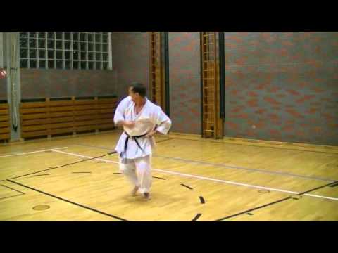 Kata Lexikon - Heian Yondan - stark