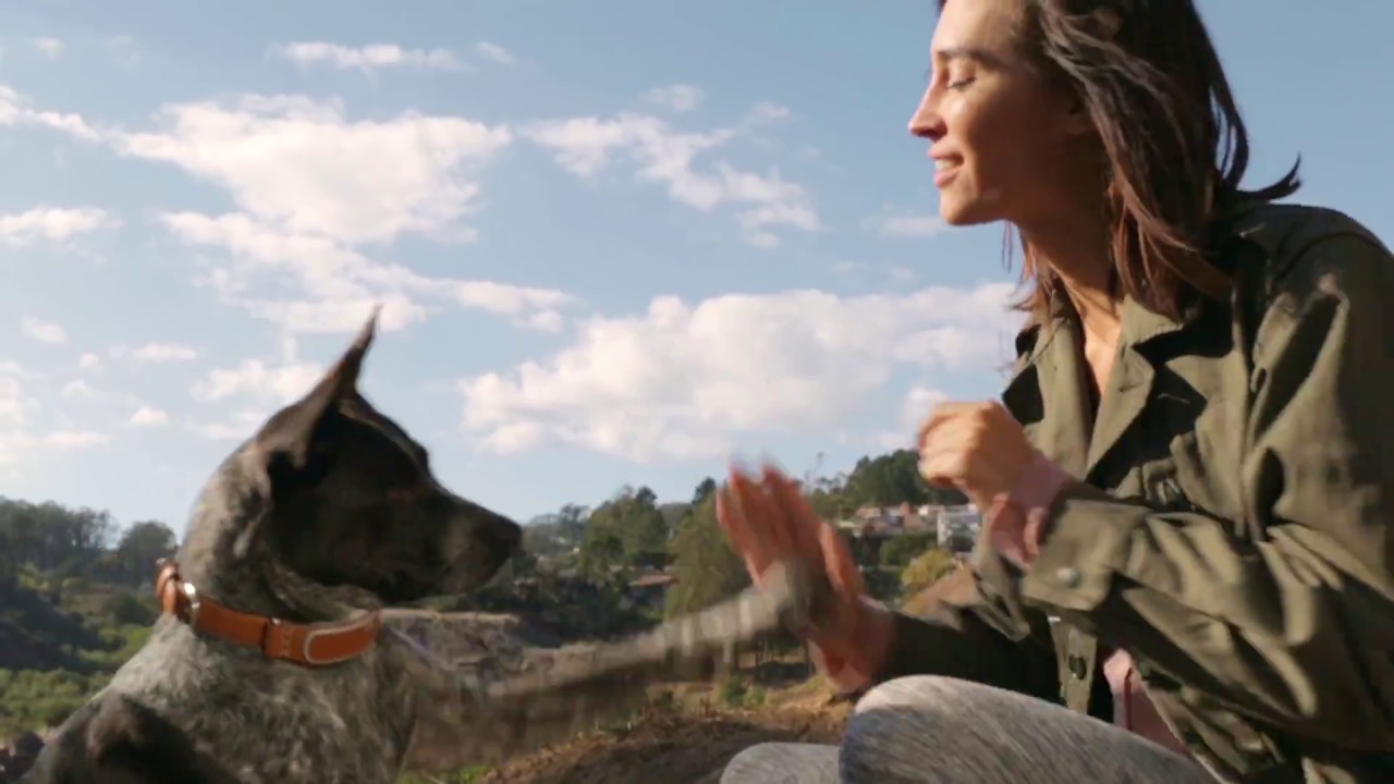 Link AKC Smart Dog Collar (X-Small) video thumbnail