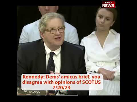 Kennedy On Dems' Amicus Brief: "You Disagree With Opinions Of The United States Supreme Court"