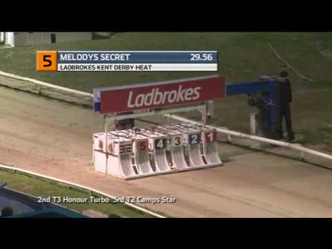 2019 LADBROKES KENT DERBY - HEAT 4 - T5 MELODYS SECRET