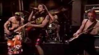 Red hot chili peppers- Subway to venus/Sexy Mexican Maid/Back in Black 1989