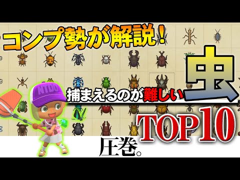 , title : '【あつ森】虫図鑑コンプ！捕まえるのが難しいレア昆虫TOP10の出現場所や時間、コツを解説します!!【あつまれ どうぶつの森】【ぽんすけ しろ】'