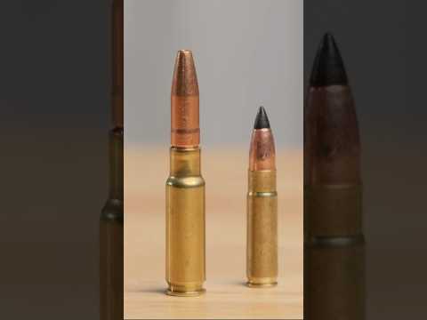 What's What? - BANSHEE, RESOLUTE, ENDEAVOR, DISSENT - Quick Look