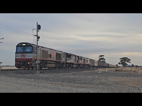 3AM9 SCT up "Dark Ghost" (CSR015, SCT011, CSR004), Penfield to Laverton, 1705, 15/4/25, Dooen VIC