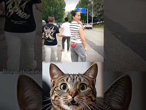 Don't laugh 🤣 #hamukaka