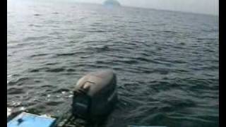 preview picture of video 'Sharks off the coast of Girvan.'