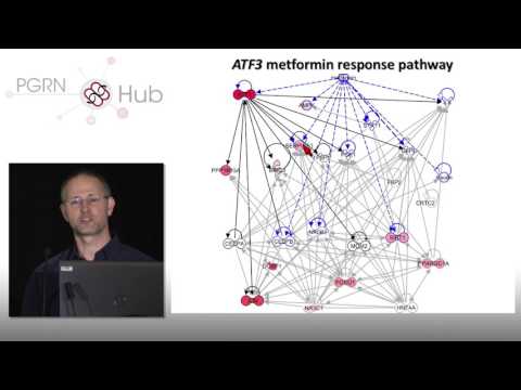 Functional Characterization of Gene Regulatory Elements