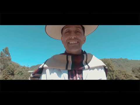 LOS PINCHEIRA DEL SUR - LIBRE POR NATURALEZA