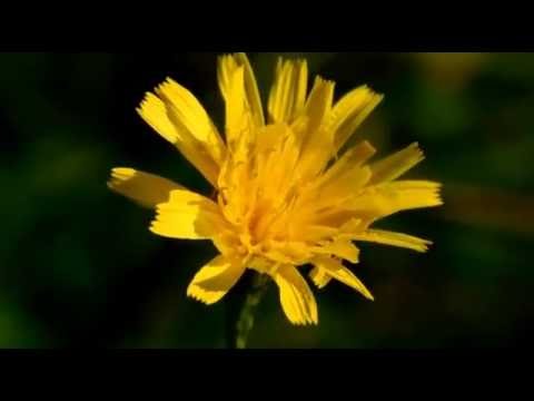 160830 3 Keep It Alive by Aldenmark Niklasson