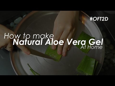 How to Make Natural Aloe Vera Gel at Home #DIY #OFT2D