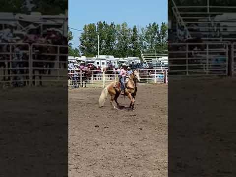 Basset HS Rodeo 8/16/20 Breakaway 4.51 sec