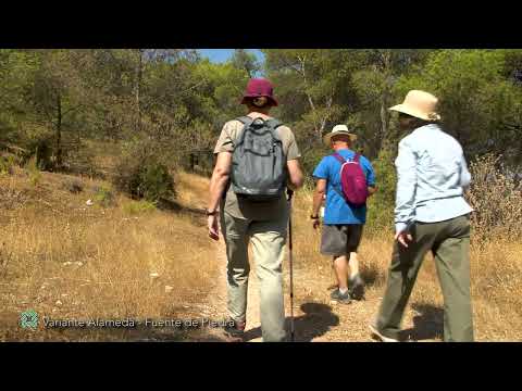 Gran Senda de M�laga (GR 249). Variante 1. Alameda - Mollina - Humilladero - Fuente de Piedra