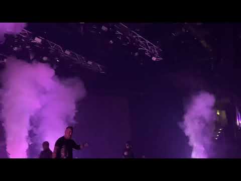 Majka&Curtis 100 tagú Cigányzenekar Füttyös