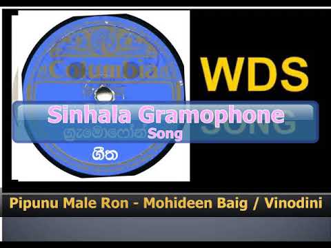 Pipunu Male Ron - Mohideen Baig / Vinodini