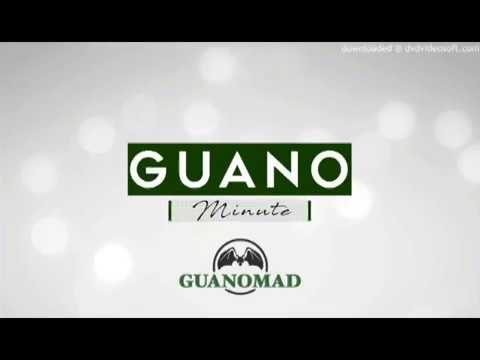 GUANOMINUTE #001 - Mahitsy