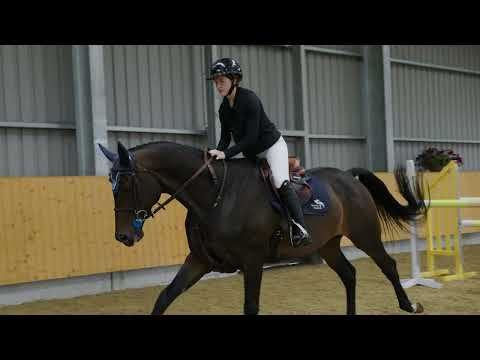 don diarado 4 jumping