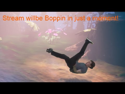 The One-Joke Streamer - Jerma Streams STDWTDOBA, INTBTIAPTLINR (Long Edit)