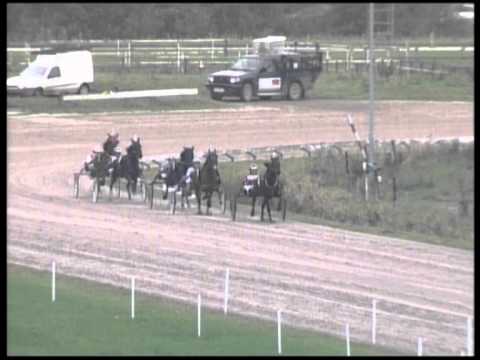 Duindigt 21 Oktober 2012 Koers 4