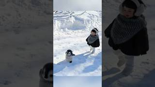 A Very Fluffy Friend ❄️ #cute #adorable #pet #penguin #babyanimals #fluffy #cuteanimal