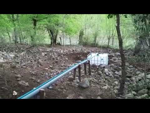 Biodigestor pequeña productora de cerdos