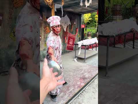 Lustige und interessante Trollvideos, die du nicht verpassen darfst. #184