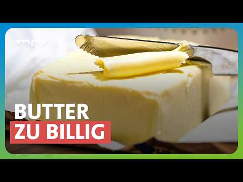 Fallende Milchpreise bringen Landwirte in Not | MDR THÜRINGEN JOURNAL | MDR