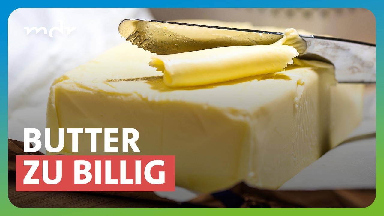 Fallende Milchpreise bringen Landwirte in Not | MDR THÜRINGEN JOURNAL | MDR