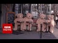 The bears bringing joy to Paris - BBC News