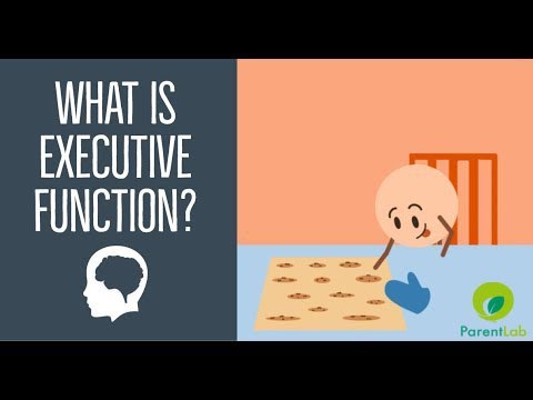 What is Executive Function?